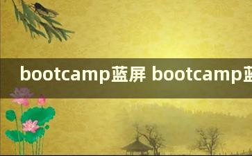 bootcamp蓝屏 bootcamp蓝屏win10